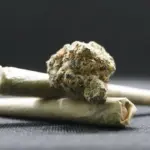 Qual a diferença entre skunk e Colombian Gold?