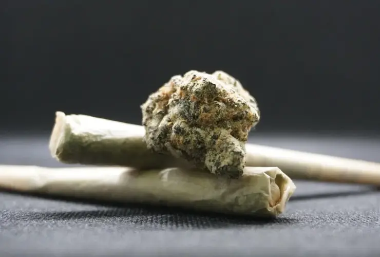 Qual a diferença entre skunk e Colombian Gold?
